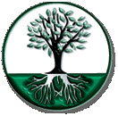 Deeper Roots Publications